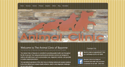 Desktop Screenshot of animalclinicofbayonne.com